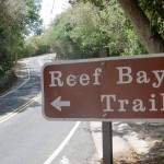 reefbaytrail